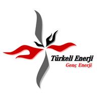 Türkeli Enerji Elektrik Elektronil