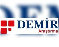 Demir Araştırma