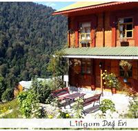 liligum dağ evi